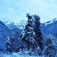 Зима на Кавказе :: Елена Московская