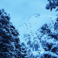 Зима на Кавказе 2 :: Елена Московская