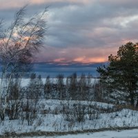 Январским вечером :: Лариса Березуцкая