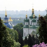 Киев. Ботанический сад. :: Сергей Рубан