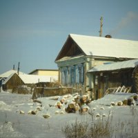 На тихой улочке. :: Лара Гамильтон