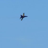 Истребитель CF-18 Hornet на авиа шоу в Торонто (сент. 2016) :: Юрий Поляков