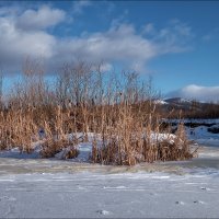 Островок :: Николай 