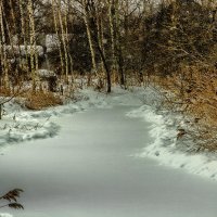 Приток речки Березовец. :: Анатолий. Chesnavik.