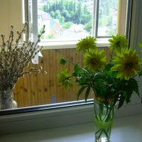 Цветы на окне :: татьяна 