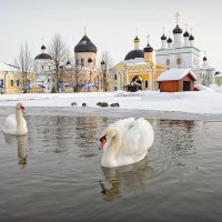 Не улетели. :: Анатолий 71 Зверев