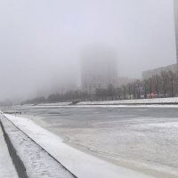 Туманный день :: Митя Дмитрий Митя