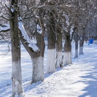 Январь :: Игорь Сикорский