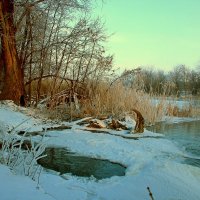 Зима в Краснодарском крае :: Алексей С.