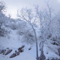 Зима в Крыму :: Serge 