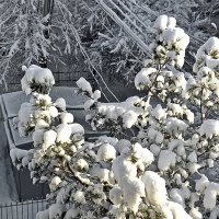 Ташкент, утро 4 февраля :: Светлана 