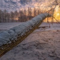 Прогулки по Питеру :: Владимир Колесников