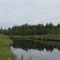 Река Онда, Карелия :: михаил дьячук