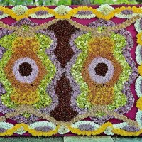 ковёр из цветов :: alex-kudriashov 