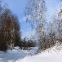 Февраль — и веселое солнышко светит... :: Galaelina ***