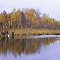 перед ледоставом... :: александр дмитриев 