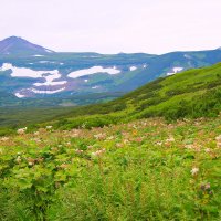 Красота Курильских островов :: Елена Зудова