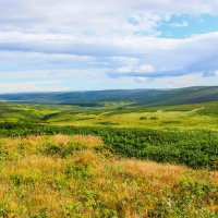 Парамушир- осторов, где нет деревьев :: Елена Зудова