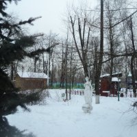 Одинокая дама замерзает в Люберецком парке. :: Ольга Кривых