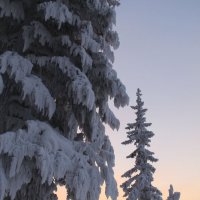 ВЕЧЕРНИЕ КРАСКИ ЗИМЫ :: Александр 