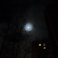 Лунное затмение :: Mary Коллар