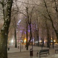 1-е января 2017г.,вечер в парке... :: Тамара (st.tamara)