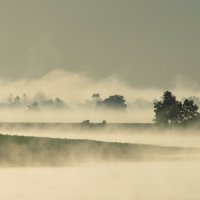 Туман на Припяти :: Николай Котко