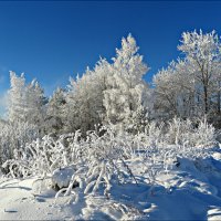 Зимнее :: Leonid Rutov