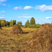 на покосе :: Василий Иваненко