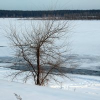 Одинокий :: Олег Афанасьевич Сергеев