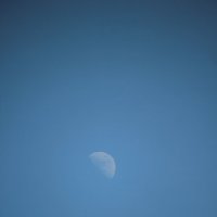 Луна в сумеречном небе-1. :: Руслан Грицунь