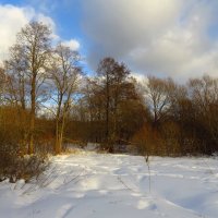 Наконец, светануло! :: Андрей Лукьянов