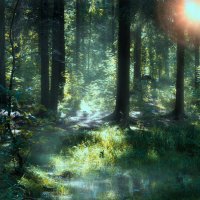 Белые ночи в лесу :: Роман Дудкин