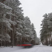 Сквозь зиму :: leo yagonen