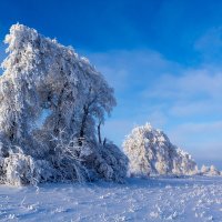 Шедевры матушки зимы . :: Юрий Глаголистов