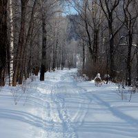 Утро :: Радмир Арсеньев