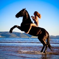 Боевой конь и девушка :: Александра Карпушкина