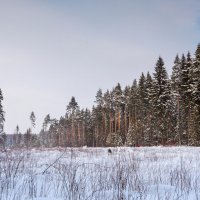 Зимние пейзаж. :: Владимир Лазарев