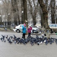 В конце февраля :: Татьяна Смоляниченко