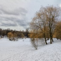 в ожидании весны :: Moscow.Salnikov Сальников Сергей Георгиевич