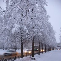 Зима в Ярославле :: Татьяна Игнатьева