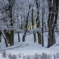 Зимнее утро :: Алёнка Шапран