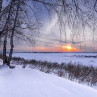 Березы и заходящее солнце на краю зимнего леса :: Сергей Добрыднев