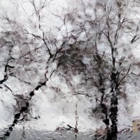 Рисует дождь :: Сергей Царёв