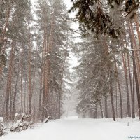 ... :: Сергей Щербатюк