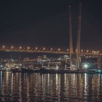 Вечерний Владивосток. Мост :: Эдуард Куклин