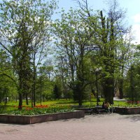 Весна  в  Ивано - Франковске :: Андрей  Васильевич Коляскин