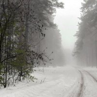 Талым снегом мартовский туман... :: Лесо-Вед (Баранов)