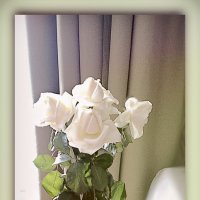 Белые розы.. :: Galina ✋ ✋✋