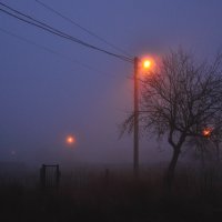 fog :: Влад 